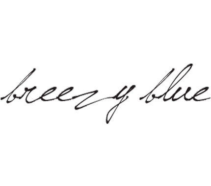 breezy logo
